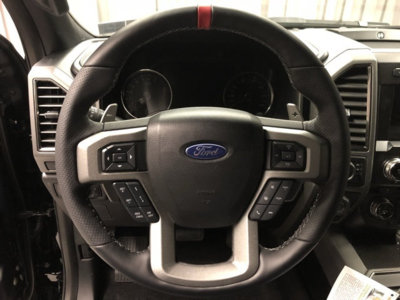 raptor steering wheel.jpg