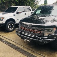 white54raptor