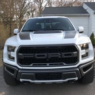 White raptor