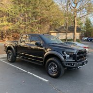 Raptor Johns Creek