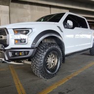 17raptor802aoxwhite