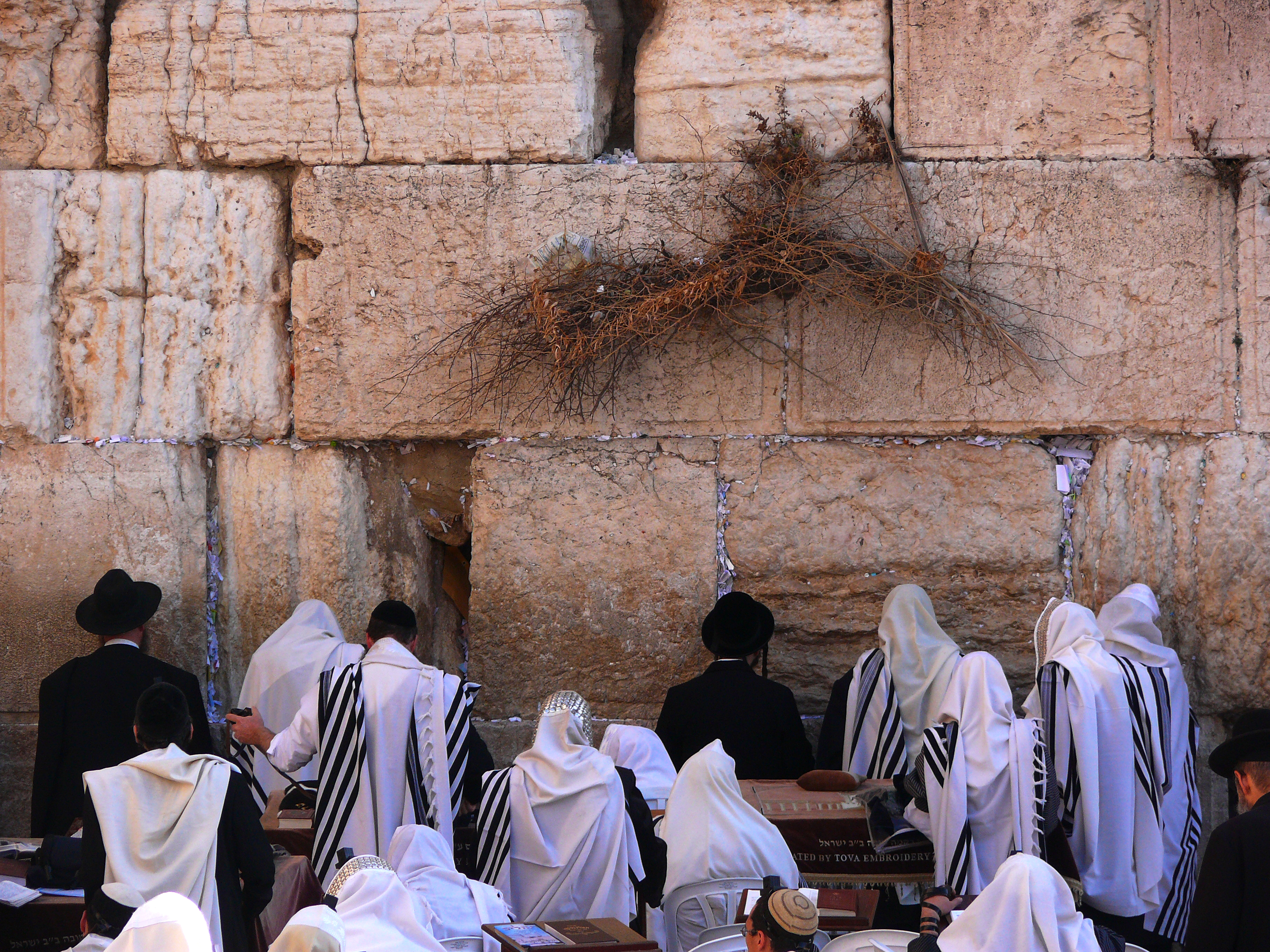 Jews-pray-in-the-Western-Wall-1.jpg