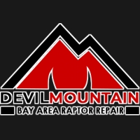 devilmountainraptorrepair.com